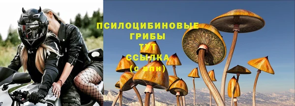 соль курить ск Нея
