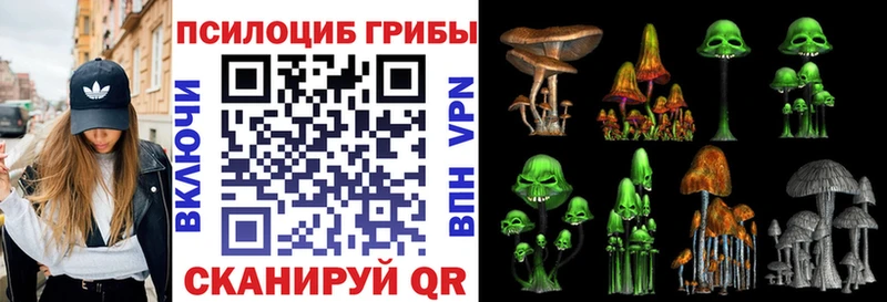 Галлюциногенные грибы Magic Shrooms площадка наркотические препараты Мытищи