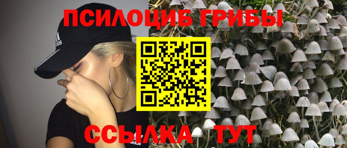 наркота  Мытищи  Псилоцибиновые грибы ЛСД 